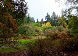 arboretum